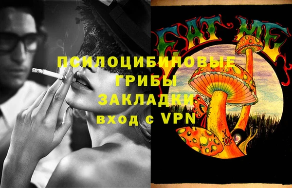 a pvp Пересвет