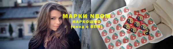 a pvp Пересвет