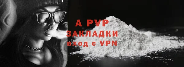 a pvp Пересвет